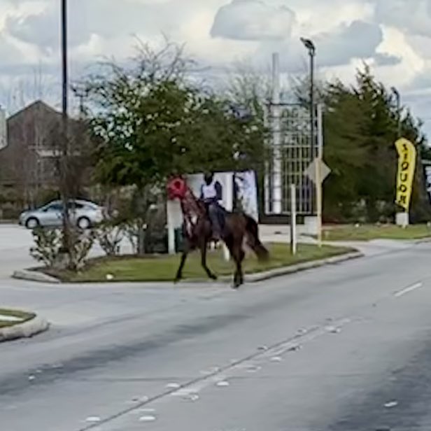 Felt sort of strange walking down busy Antoine Dr. from my TV truck to the corner store for a soda. Then a guy comes galloping on his horse to buy his sundries &amp; now I’m totally at home!! #OnlyInHouston