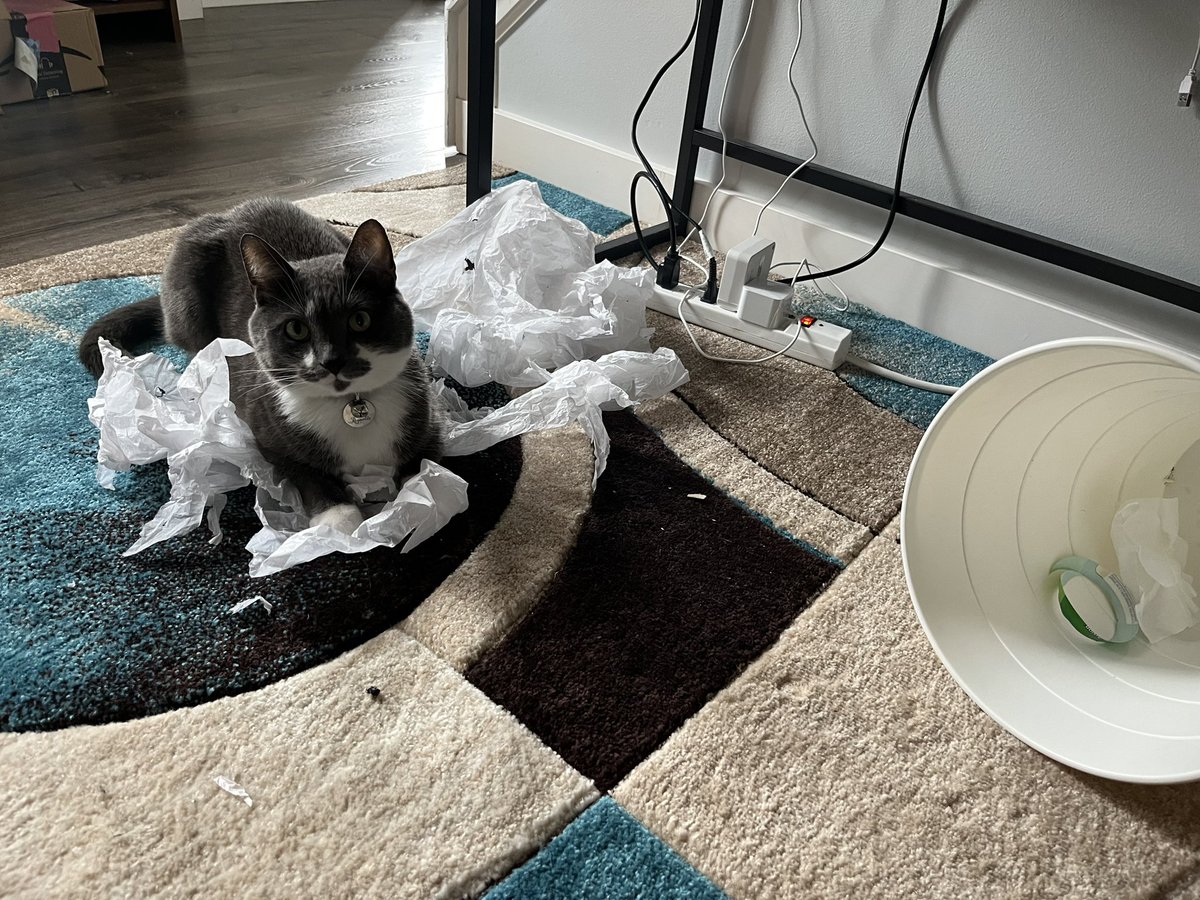 BurtyButt's tweet image. Helping on trash day