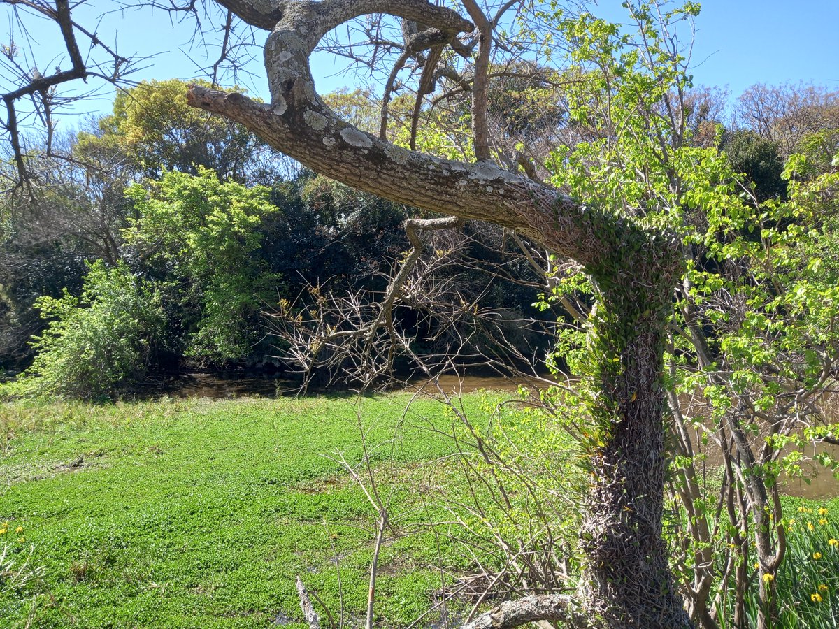 biblio_exactas's tweet image. A partir de hoy y durante todo febrero, estamos de 11 a 18hs. Sala Parlante abierta todo el día. 😊
#biblioexactas #bibliotecacentral #exactasuba