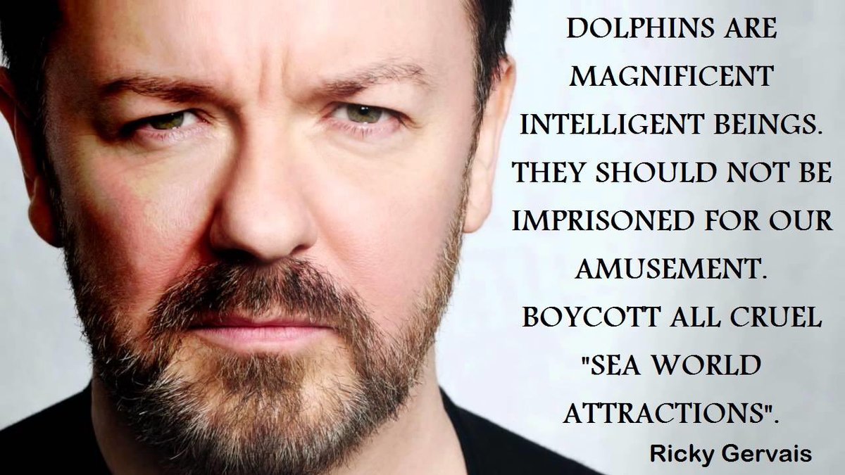 Wise Words From @RickyGervais on #Dolphins And #SeaWorld - #BoycottSeaworld #SeaWorldKills