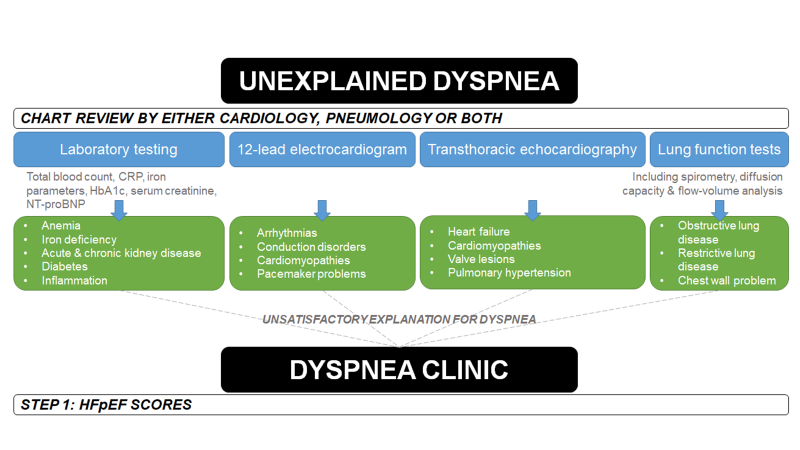 VerwerftJan's tweet photo. Thinking 🤔of implementing a Dyspnea Clinic?
Check out our paper in @JACCJournals 

🔗https://t.co/x7yOLEoTUF

Putting this together with my brilliant friends @FH_Verbrugge, @guido_claessen, @Ph_Bertrand and @HerbotsLieven was an honor and privilege 
1/8 https://t.co/BhBz3qieJ3