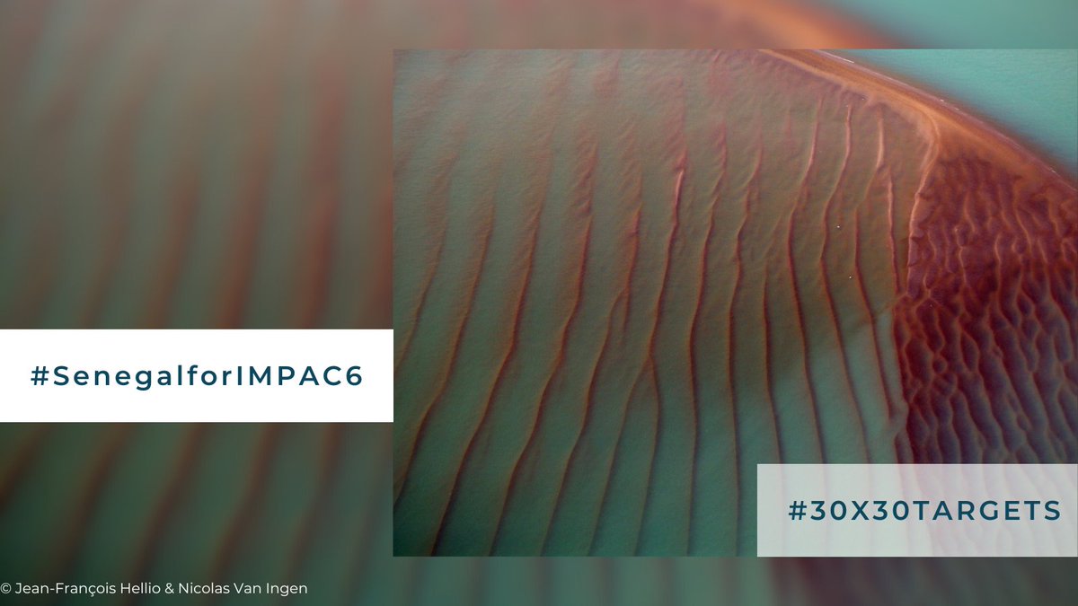 MedPAN's tweet photo. 48 hours left before announcing if 🇸🇳Senegal will be hosting #IMPAC6 Let’s show #AfricanMPAS our support! #SenegalforIMPAC6 #IMPAC5 @IMPAC5Canada #30x30targets @euog4mpas
@rampaonetwork
@redparques
@wiompan
@EBCD_bxl
@sylviaearle
@ConservationOrg
@WWF https://t.co/ZeZECa6Jhu