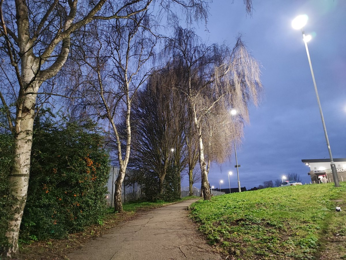 Denise Wilton tweet media