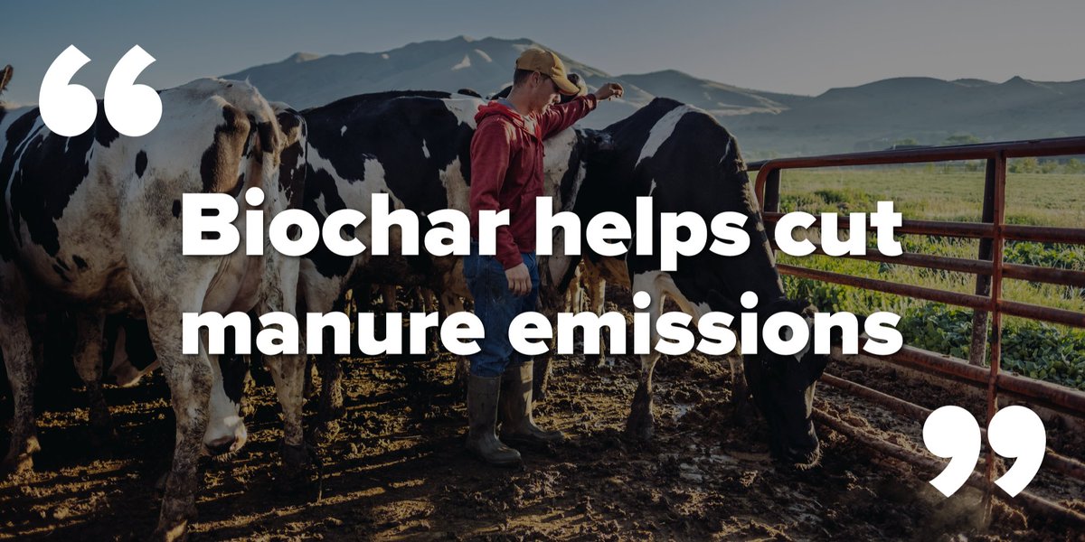 Glanris's tweet photo. More #BenefitsofBiochar: reducing #manure emissions! At #Compost2023, we touted emission reduction as a #biochar + #compost benefit, but don't just take our word → read @westernproducer's piece on how it could cut manure #methane by 84% (+ reduce odor!): https://t.co/2o0WKVwUo2 https://t.co/8osaxBoWI1