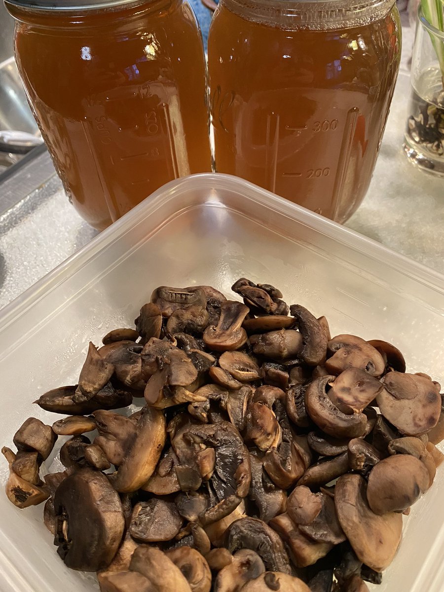 basenjimomcom's tweet image. RT @FireGirl2838: Steamed mushrooms for soup and made mushroom stock. 😋
#frugalmom #inmykitchen #momsthatcook #homemade #simplelifehacks #doubleduty #delicious #soups #mushrooms #stock #womenthatcook #healthyeats #cookingforlife #vegetarianmom