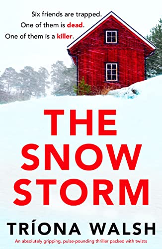 TARDISLibraryDW's tweet image. Non #doctorwho related but I'm delighted to tell you the debut novel by my lovely wife @TheTrionaWalsh has just been released: THE SNOWSTORM, a cracking atmospheric murder mystery set on a remote Irish island. Kindle version only 99p/99c until Fri 10th! geni.us/B0BLHR3MG9soci…