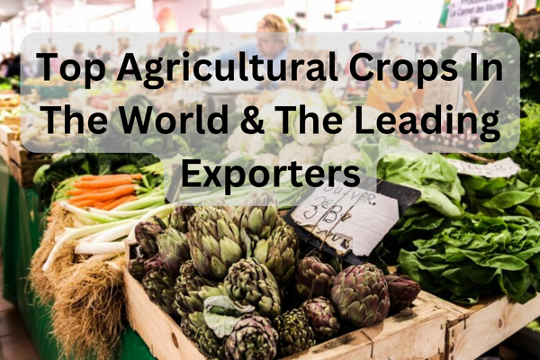 Gold_Retired's tweet photo. Which are the top agricultural crops in world? What are geo-climatic conditions? Knowing the top agricultural crops produced in various parts of the world can influence decision making from  investors’ point of view.
#investors #agriculture 

Read post: https://t.co/2t6bMjs5Ae https://t.co/ZelA8UVbvA