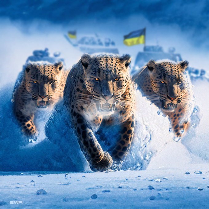 The Leopards are coming.