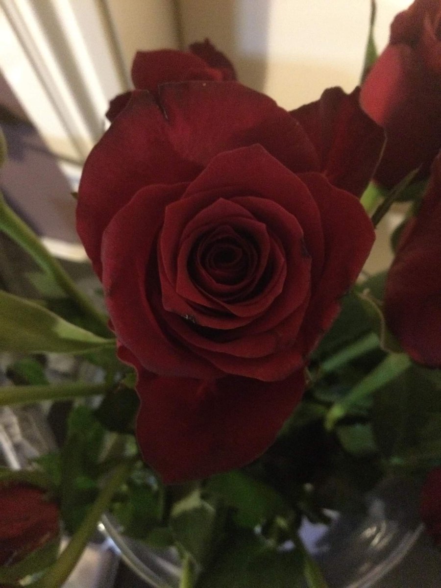 katierosets's tweet photo. Date night at mine and she bought me flowers. My favourites too. 💖🥰💖
#datenight #cookingdinner #snugglesonthesofa #flowers #roses #redroses https://t.co/YkYwPgF0Vj