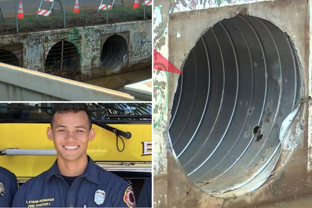 BKactual on Twitter "RT nypost Hawaii firefighter dies after being