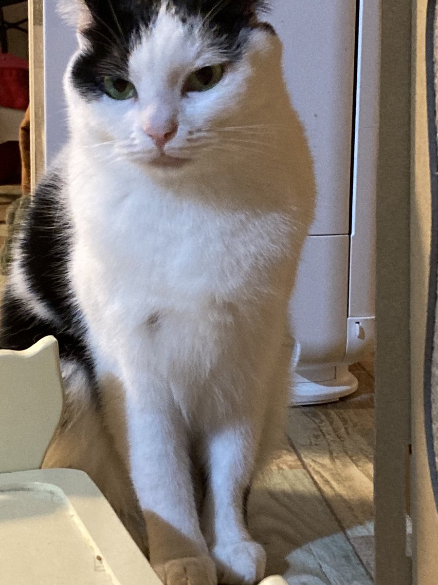 「オシッコの出がわるいゎ…むむむ」 https://t.co/FSQvg7Orx6 https://t.co/ptcHEmakRi