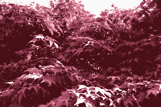 Ordinal of the day - Inscription #3899

View on-chain in full quality here:
ordinals.com/inscription/52…