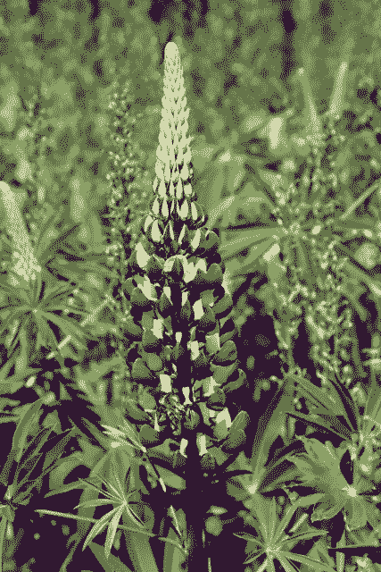 Ordinal of the day - Inscription #3862

View on-chain in full quality here:
ordinals.com/inscription/f4…