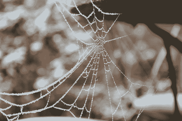 Ordinal of the day - Inscription #4190

View on-chain in full quality here:
ordinals.com/inscription/10…