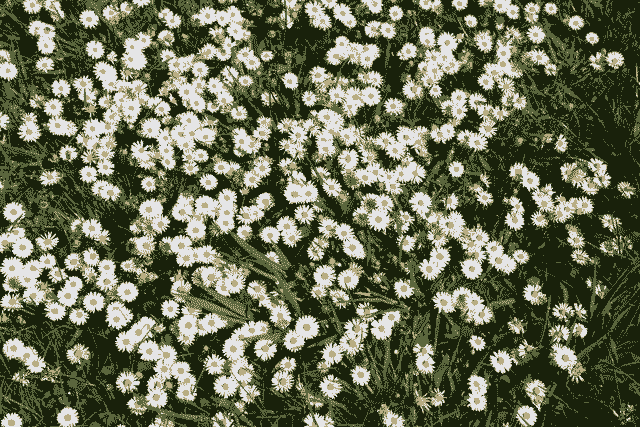 Ordinal of the day - Inscription #4015

View on-chain in full quality here:
ordinals.com/inscription/74…