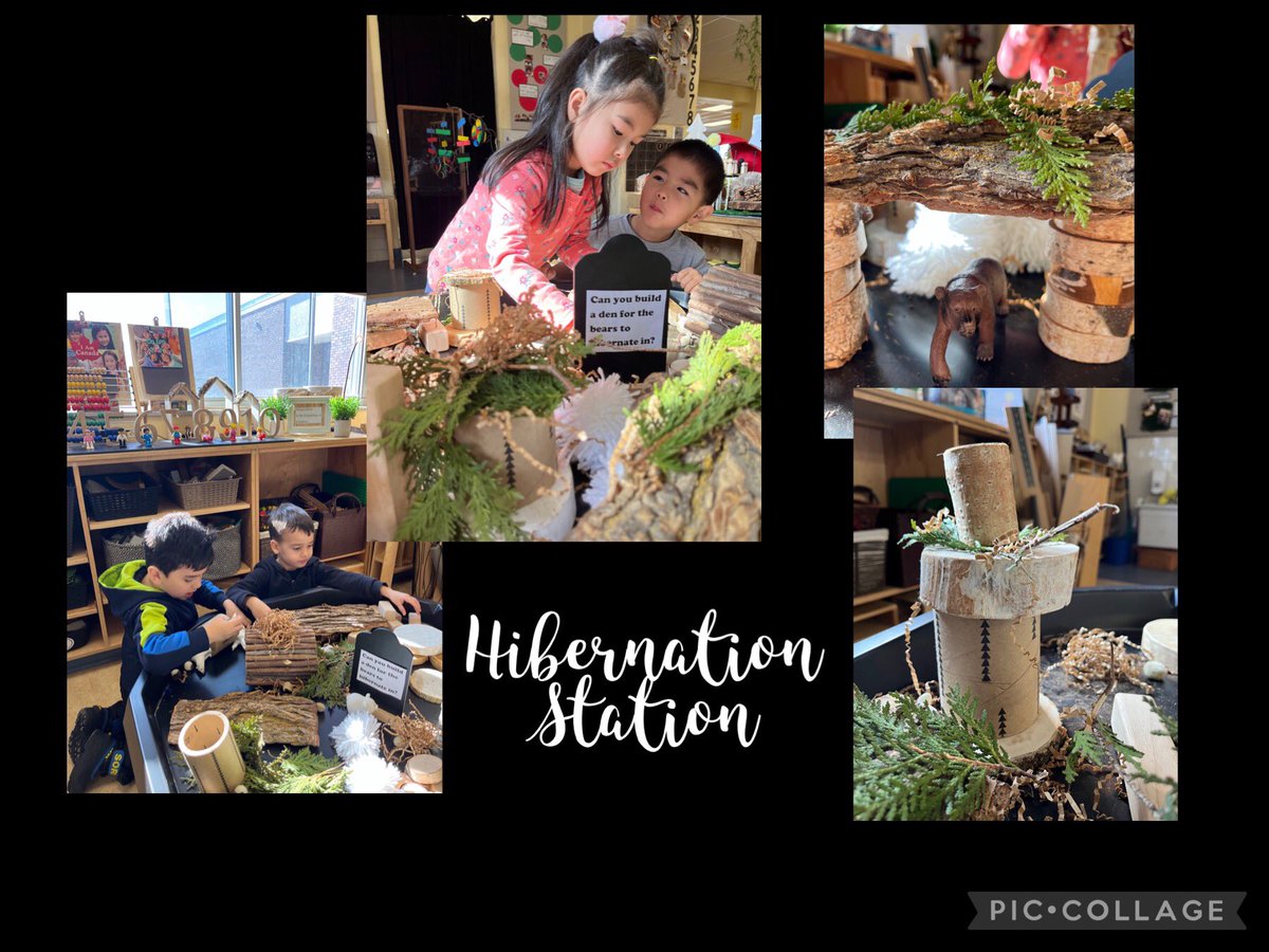 Learning about animals in Winter!We are making dens for the bears to hibernate so they can survive the cold weather!          🐻🐾❄️🪨
<a href="/gecdsbpro/">GECDSB PR</a> <a href="/SandwichWestPub/">SandwichWestPublic</a> <a href="/TinaCappadocia/">Tina Cappadocia</a>
