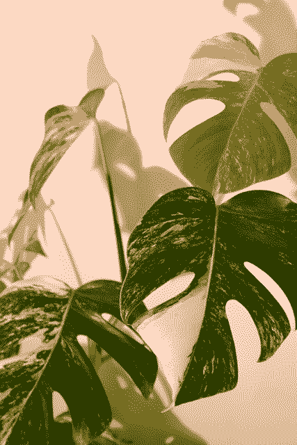 Ordinal of the day - Inscription #4188

View on-chain in full quality here: 
ordinals.com/inscription/41…