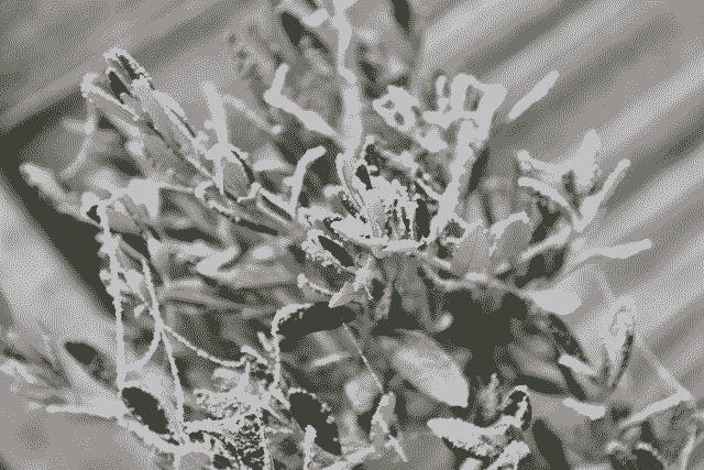 Ordinal of the day - Inscription #4206

View on-chain in full quality here:
ordinals.com/inscription/ce…