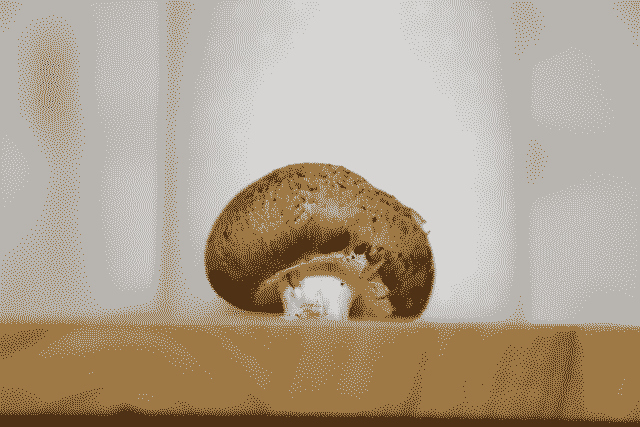 NatureOnBitcoin's tweet photo. Ordinal of the day - Inscription #4230 an ode to Shroomtoshi 🍄

View on-chain in full quality here: 
https://t.co/UKE60XdDaZ https://t.co/WFnNods9eU