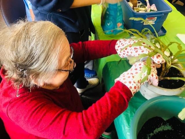 Burton Manor Residents are planting seeds for our Garden Centre and looking forward to spring!!