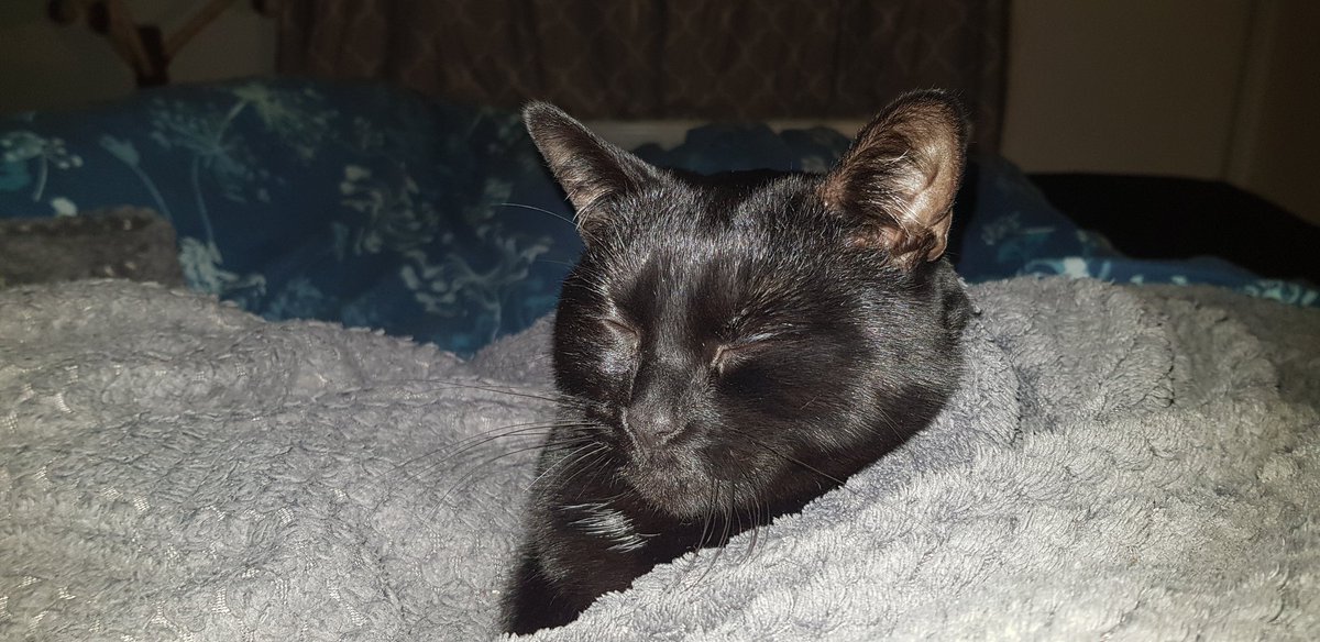 There once was a Godless ape named Ricky
 His humor was both witty and slick
-y
 He made fun of religion With a smile
 and a smirking disposition 
And proved that being atheist is quite hicky!
<a href="/rickygervais/">Ricky Gervais</a>