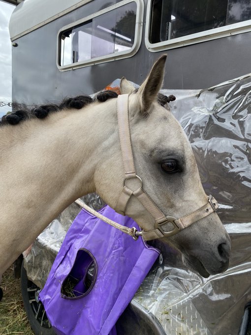 Watch Isabelle Deltore's leaked NSFW photo on TwXstars