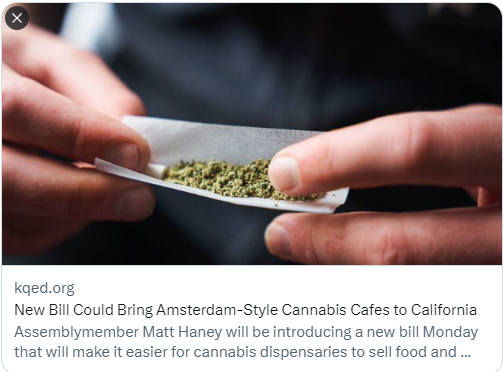 Rafael Mandelman tweet media