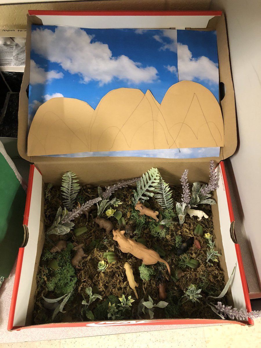 Check out the habitats that make up the 5 regions of Georgia. They are displayed in the Hendricks media center to show off students hard work! #huskychat