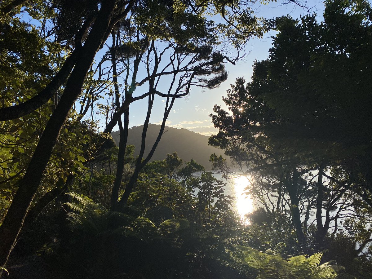 MattsMeteors tweet media