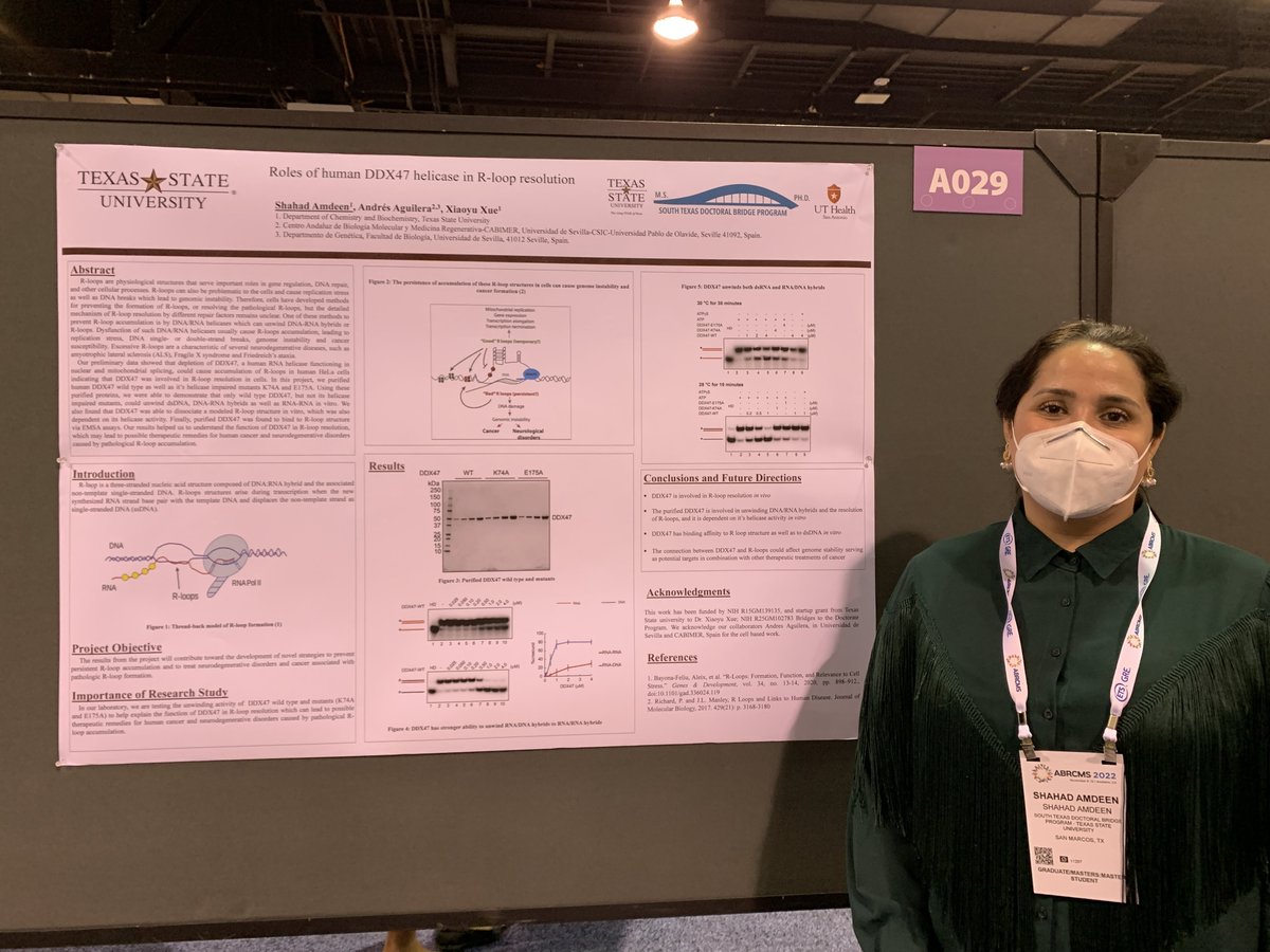 STXB2D's tweet photo. Four of our @STXB2D Scholars presented their research @ABRCMS22 in November! #Gradschoolbound @TXSTChemBiochem https://t.co/uETQ6ebZYH