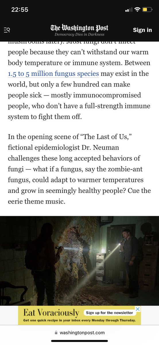 E.Brennan tweet media