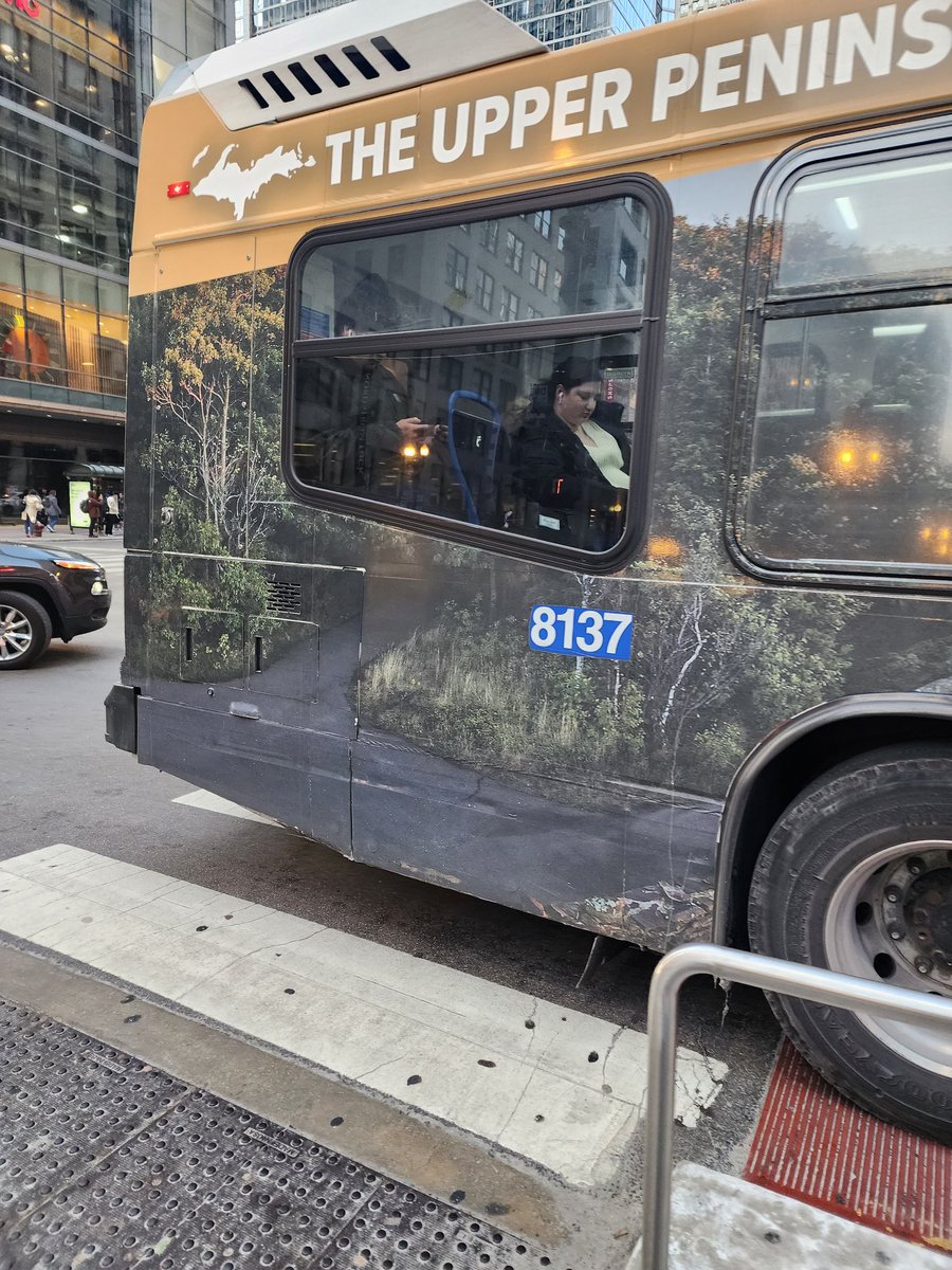 ASSanineFool's tweet image. When the @cta bus runs the Red light just to block the crosswalk and keep peda ft crossing Washington safely @ctaaction @CTAFails #ctasucks #ctafail