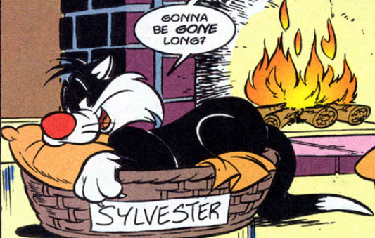 rapscallionDlux's tweet photo. Sylvester https://t.co/fCxrok2Dct