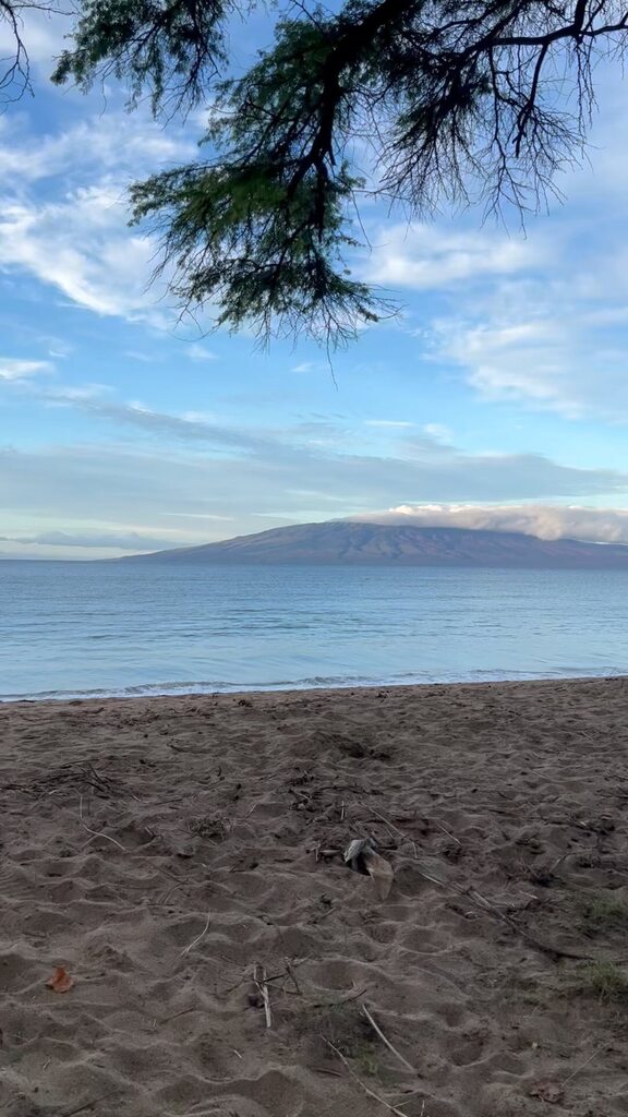 Morning run in Maui views instagr.am/reel/CoVsGMFpB…