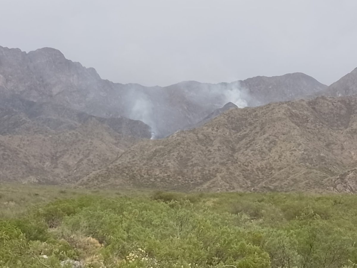 Nuestros Brigadistas del PPMF, ya se encuentran trabajando en el Incendio Forestal que se desarrolla desde horas de la tarde en la zona de Villavicencio. Hasta el momento son unas 70ha las afectadas y se recibe apoyo del personal de Defensa Civil, Bomberos y Policía de Mza. 🔽