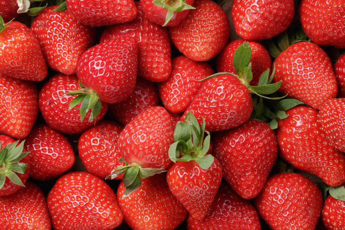 elgourmet's tweet photo. FRUTOS ROJOS
🍒🍓 🫐
Tenes que elegir uno.
¿Cuál elegís? https://t.co/4AZTxR3sea