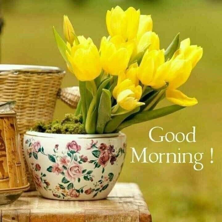 ये पहाड़ों की मेहरबानी हैं
वरना,
कौन देता है आवाज़ दोबारा..!

सुप्रभात, नमस्कार, सत श्री अकाल, खुश रहो स्वस्थ रहो आप का दिन शुभ और मंगलमय हो 💐💐💐

<a href="/AroraRajdeep/">Rajdeep Arora 🇮🇳</a> <a href="/_old_delhi__/">TIMUS (off)</a> <a href="/nsbchd/">Sardar नवदीप ਸਿੰਘ 🇮🇳 हास्य जीवी। #वाहेगुरुजी #ॐ</a> <a href="/Krishna__Bhakt_/">बिजेंद्र सिंह चौधरी 💚मोदी का परिवार❤️🕉️</a> <a href="/JPulasaria/">JP 🇮🇳 (Sanatani)</a>  <a href="/vis_s0/">VishaL</a> <a href="/rishi_dr119/">Rishi Dr. (🚩मोदी का परिवार🚩)</a>