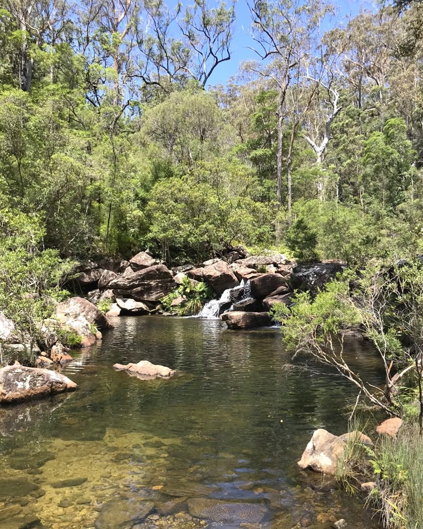 VanessaSimpson_'s tweet photo. Went 𝐁𝐔𝐒𝐇 this hot weekend just passed. Just lovely to cool down in the fresh water!

#beachorbush #waterfalls https://t.co/NUt0cBBvQu
