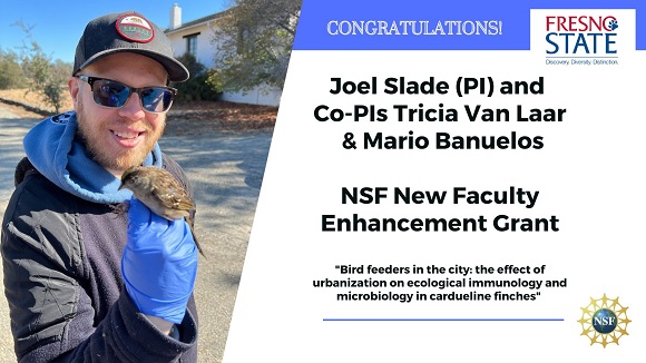 Congrats to @EvoEcoJoel (PI) and Co-PIs <a href="/tvanlaarmicro/">Dr. Tricia Van Laar</a> &amp; @mbanuelos22 on receiving a three-year <a href="/NSF/">U.S. National Science Foundation</a> New Faculty Enhancement Grant! tinyurl.com/339s5t3t #FresnoState #research