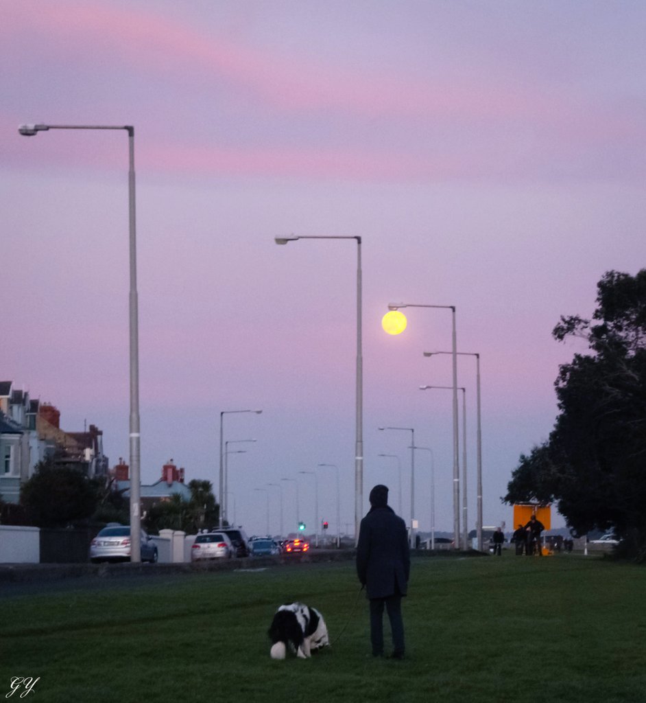 Moonlight 🌝
<a href="/LovinDublin/">Lovin Dublin</a> <a href="/PhotosOfDublin/">Photos of Dublin</a> <a href="/VisitDublin/">Visit Dublin</a> <a href="/98FM/">98FM</a> <a href="/Failte_Ireland/">Fáilte Ireland</a> <a href="/Dublin_ie/">Dublin</a> <a href="/OldDublinTown/">Old DublinTown. com</a> <a href="/discoverirl/">Discover Ireland</a> <a href="/DiscoverIreland/">Discover Ireland</a> <a href="/Q102FeelGood/">Dublin's Q102</a> <a href="/IrishTimes/">The Irish Times</a> <a href="/IrelandB4UDie/">Ireland Before You Die</a>
