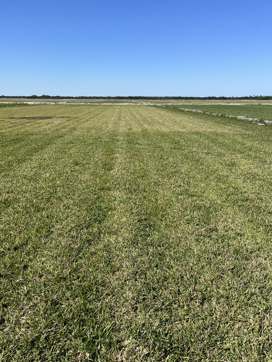 Eric Reiter tweet media