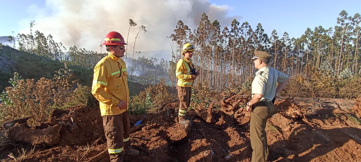 CarabLosRios's tweet image. Nos mantenemos desplegados a lo largo de toda la Region de #LosRios, colaborando a #Conaf y #EjercitodeChile y asi evitar la propagacion de los Incendios forestales que afectan a la Region. El Sr. Jefe de Zona(s) hace un llamado a la Ciudadanía al autocuidado
#CarabinerosDeTodos