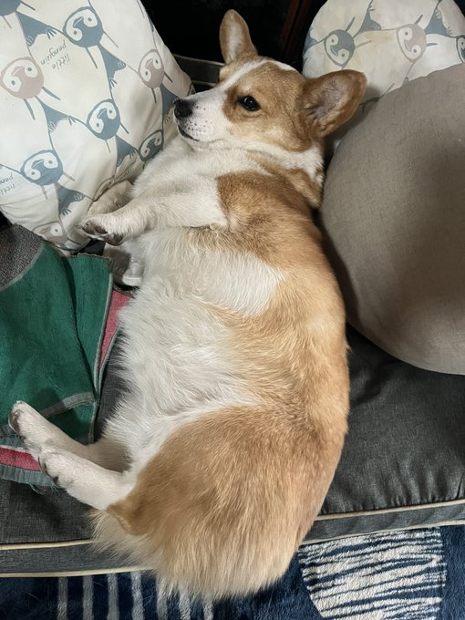 おはようございます。 