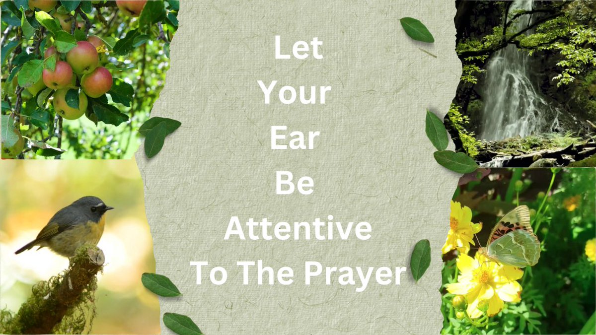 RT @the_sabbathday: Let Your Ear Be Attentive To The Prayer https://t.co/ZH0GFYSpwi via @YouTube https://t.co/KsjKDUDlMF