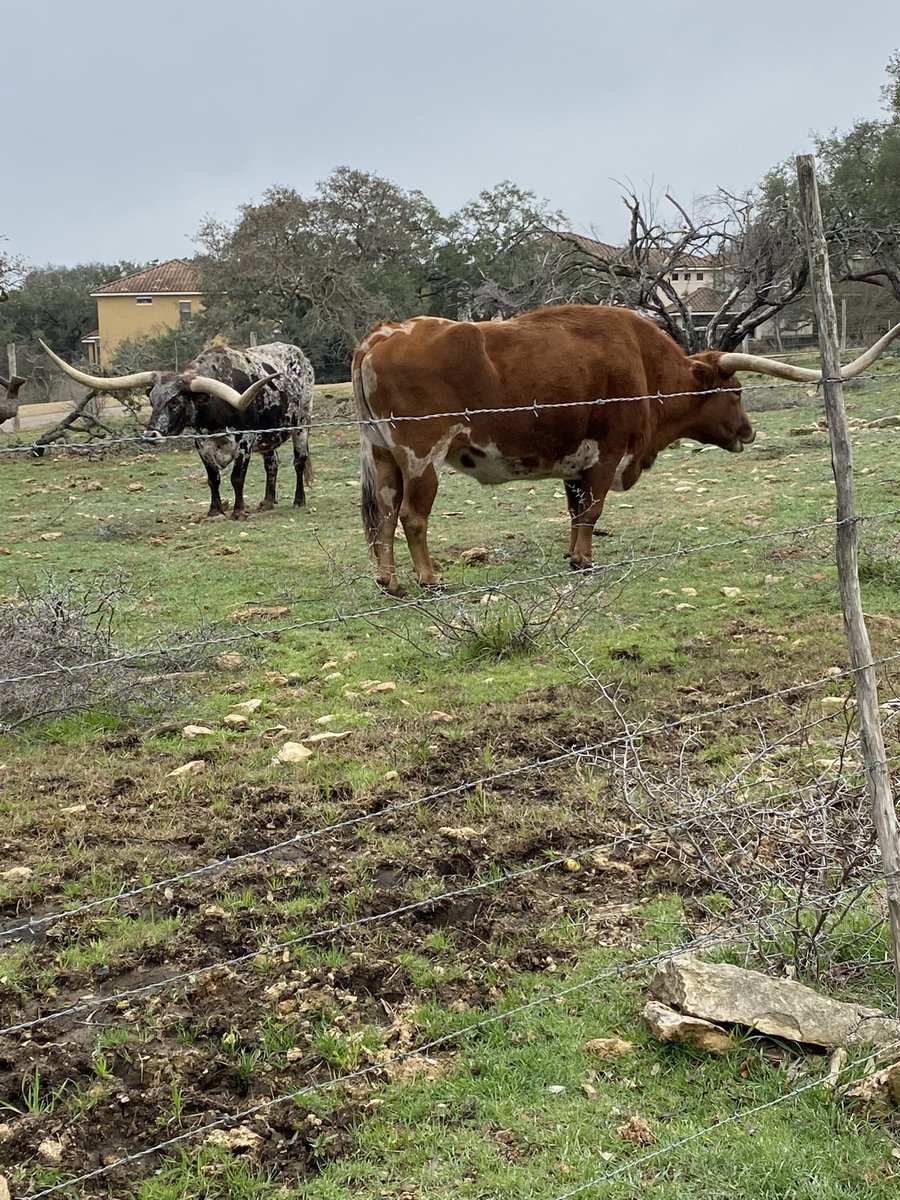 <a href="/ClarkTexasGolf/">Clark High School Golf</a> These two say Go Cougars!