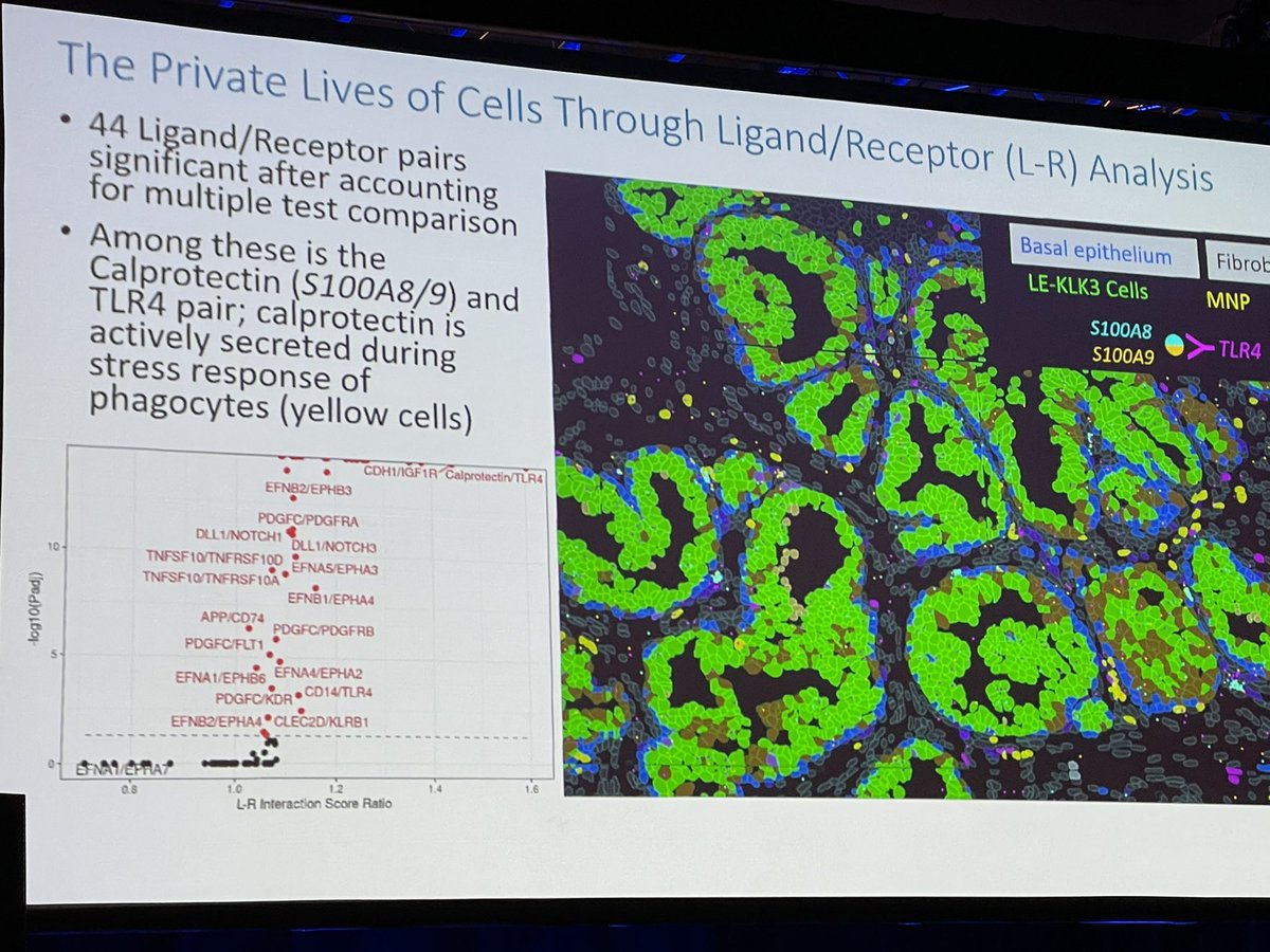 Daniela_Bezdan's tweet image. @mason_lab @nanostringtech dropping the news of the SAHA project, detailed resolution in #spatialgenomics with 120-plex CosMx SMI @agbt #agbt23