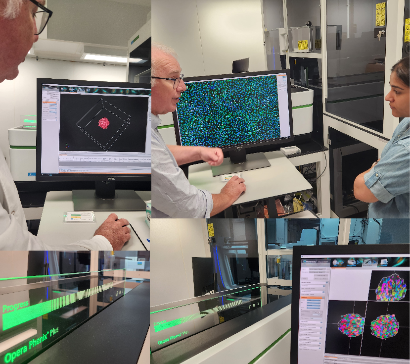 Australian Organoid Facility tweet media