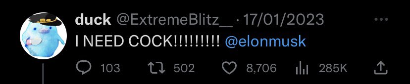 duck tweet media