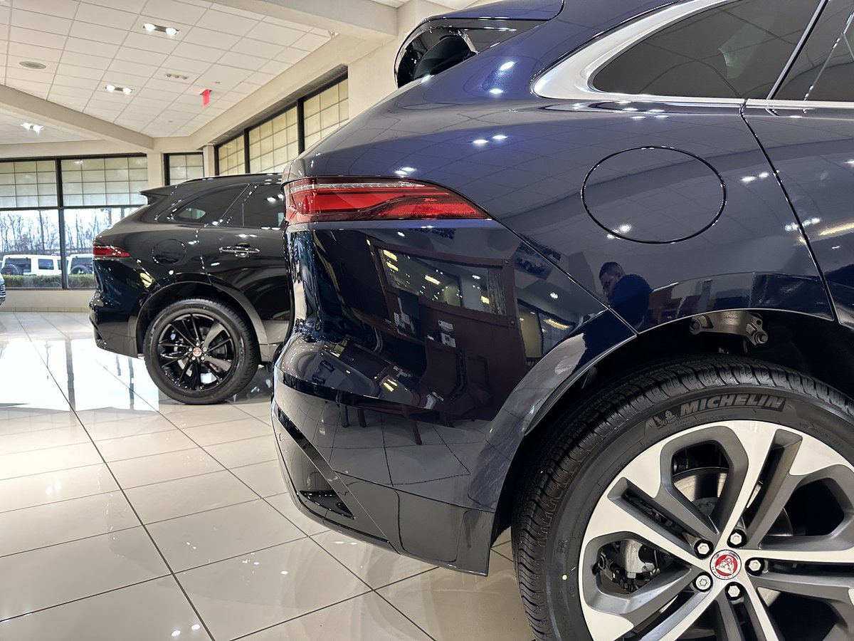 jaguarparamus's tweet photo. ✌ #Jaguar #JaguarParamus https://t.co/aNhiG8Gawq
