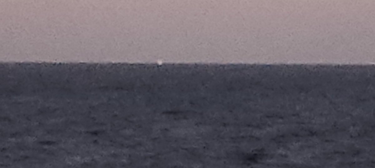 DaveDunDidIt's tweet photo. Cruise ship out in the distance just grinding the rail on this flat Earth. https://t.co/0SmNiXXCQj